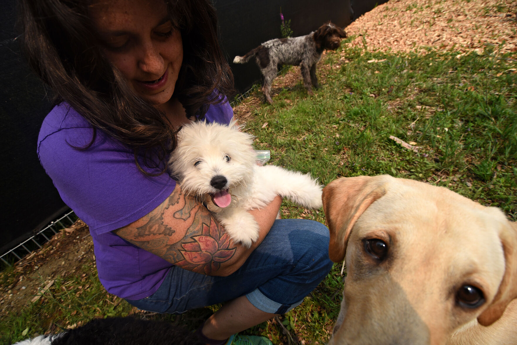 Woman in a purple shirt cuddles small white dog